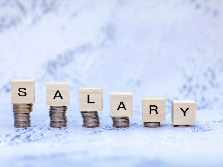 Salary Ranges Section Image